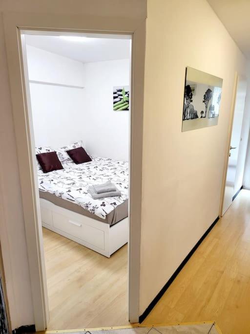 Apartment R.i.s.-rest In Siska Duplex Ljubljana